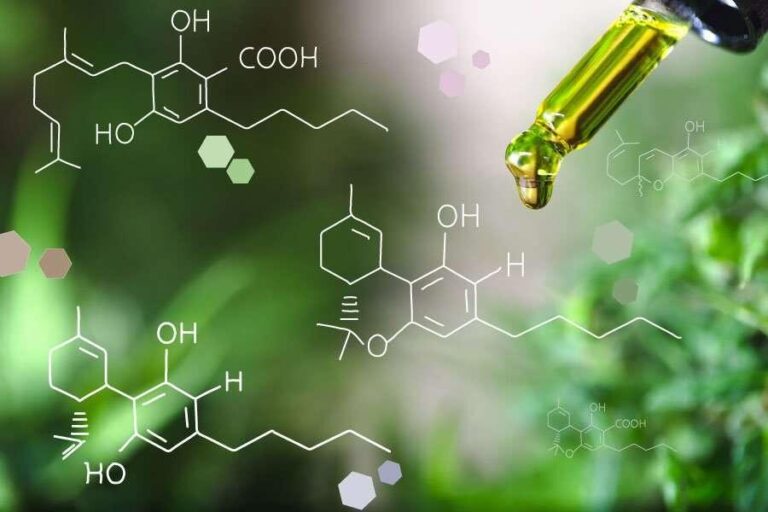 Die Rolle der Cannabinoide im Endocannabinoid-System