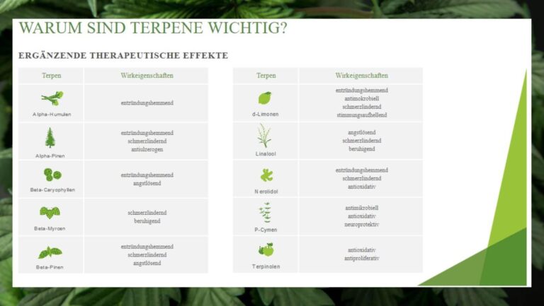 Die faszinierende Welt der Terpene: Bedeutung und Vielfalt