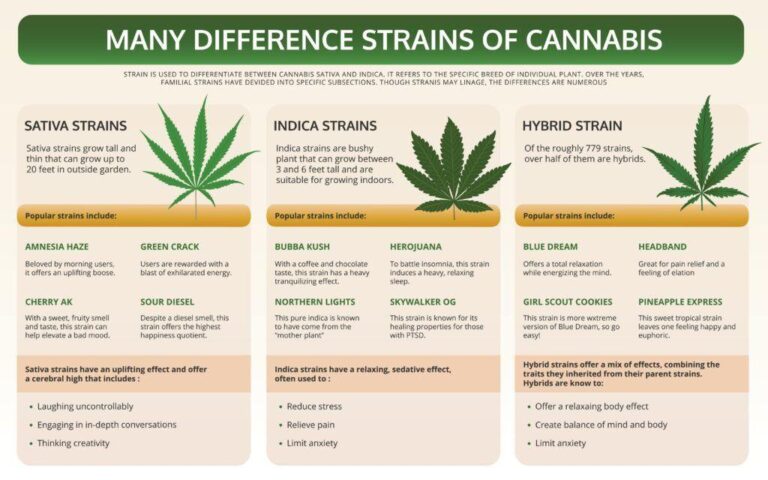 Vielfalt der Cannabissorten: Ein umfassender Überblick