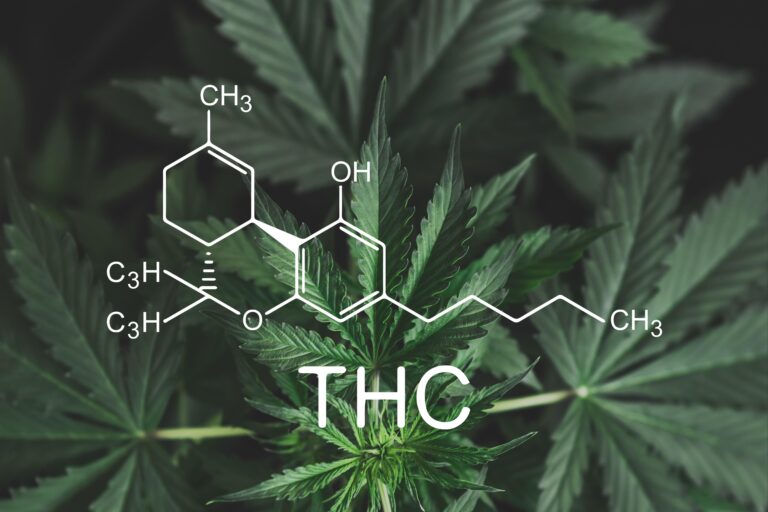 THC und CBD: Die Unterschiede im internationalen Vergleich